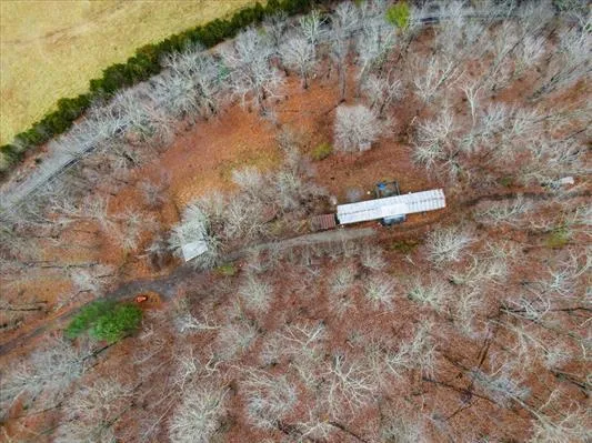 a view of a dry yard with trees