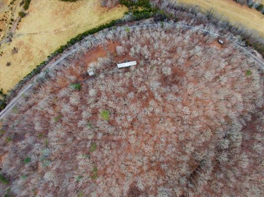 1154 Lusters Gate Road Christiansburg, VA 24073 - Photo 15 of 25 a view of a dry yard with wooden fence