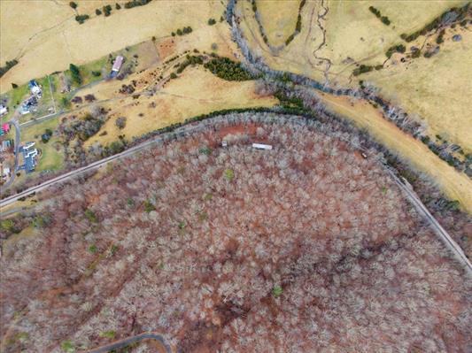 1154 Lusters Gate Road Christiansburg, VA 24073 - Photo 17 of 25 a view of a wooden wall with a yard