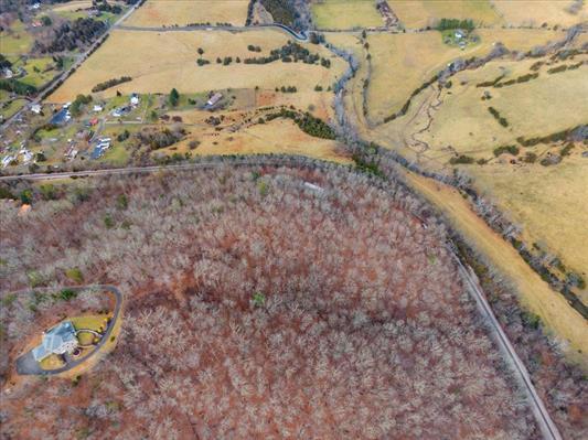 1154 Lusters Gate Road Christiansburg, VA 24073 - Photo 18 of 25 a view of a dry yard with trees