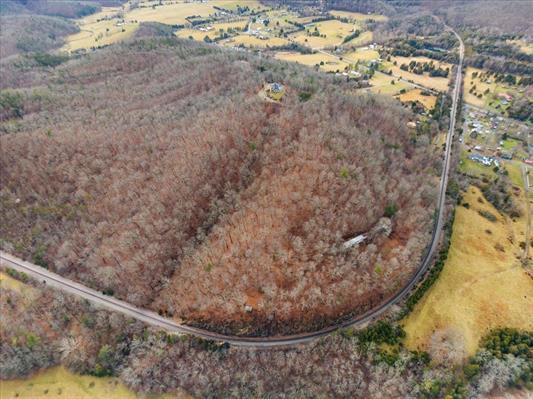 1154 Lusters Gate Road Christiansburg, VA 24073 - Photo 22 of 25 a view of a dry plant in a field