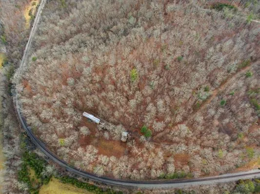 a view of a dry yard