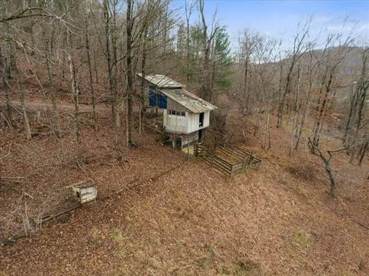 a view of a tiny house with a yard