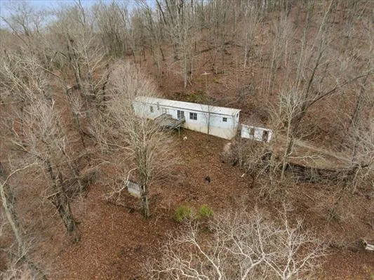 view of a dry yard with trees