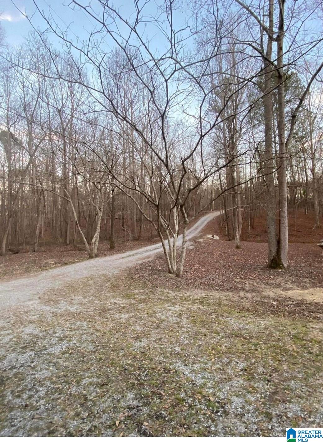 470 County Road 869 Jemison, AL 35085 - Photo 4 of 18