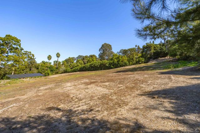 a view of a field with an trees
