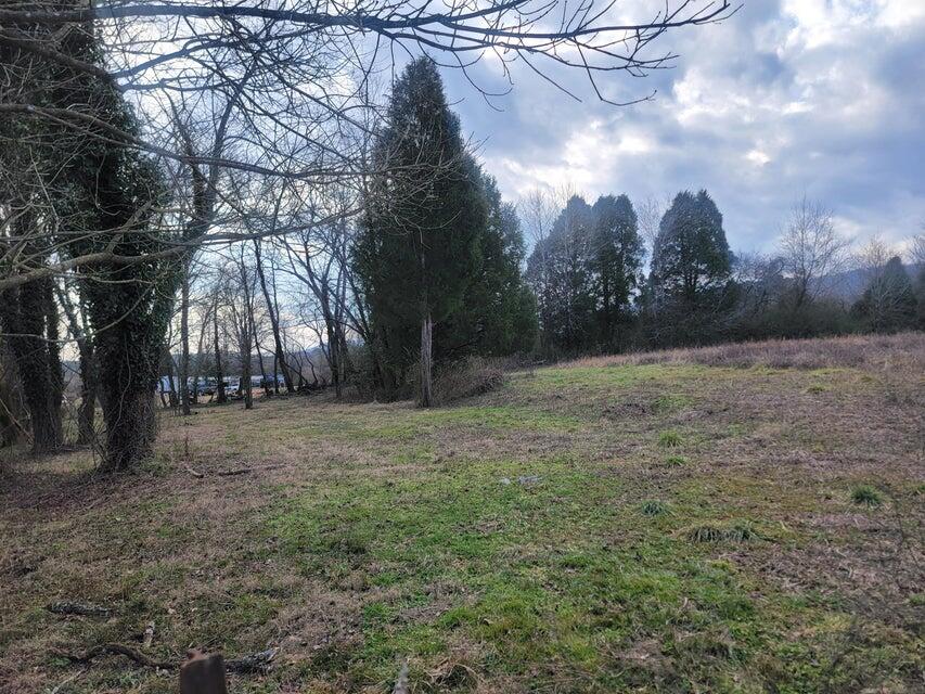 940 Cemetery Road Spring City, TN 37381 - Photo 42 of 43 5
