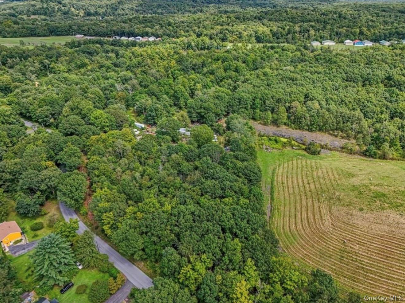 90 Freetown Road Wallkill, NY 12589 - Photo 3 of 9
