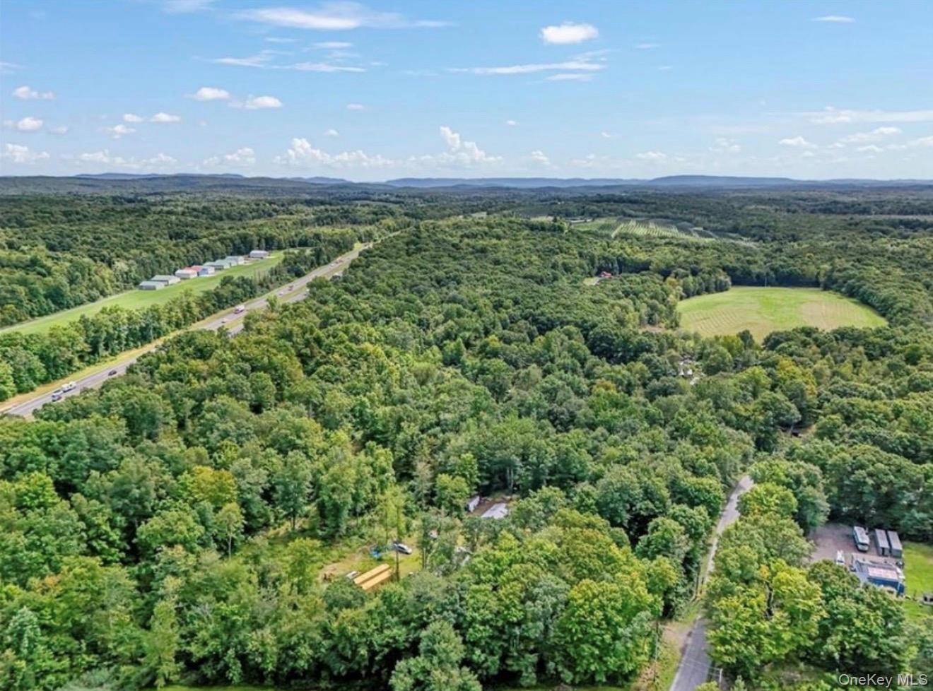 90 Freetown Road Wallkill, NY 12589 - Photo 5 of 9