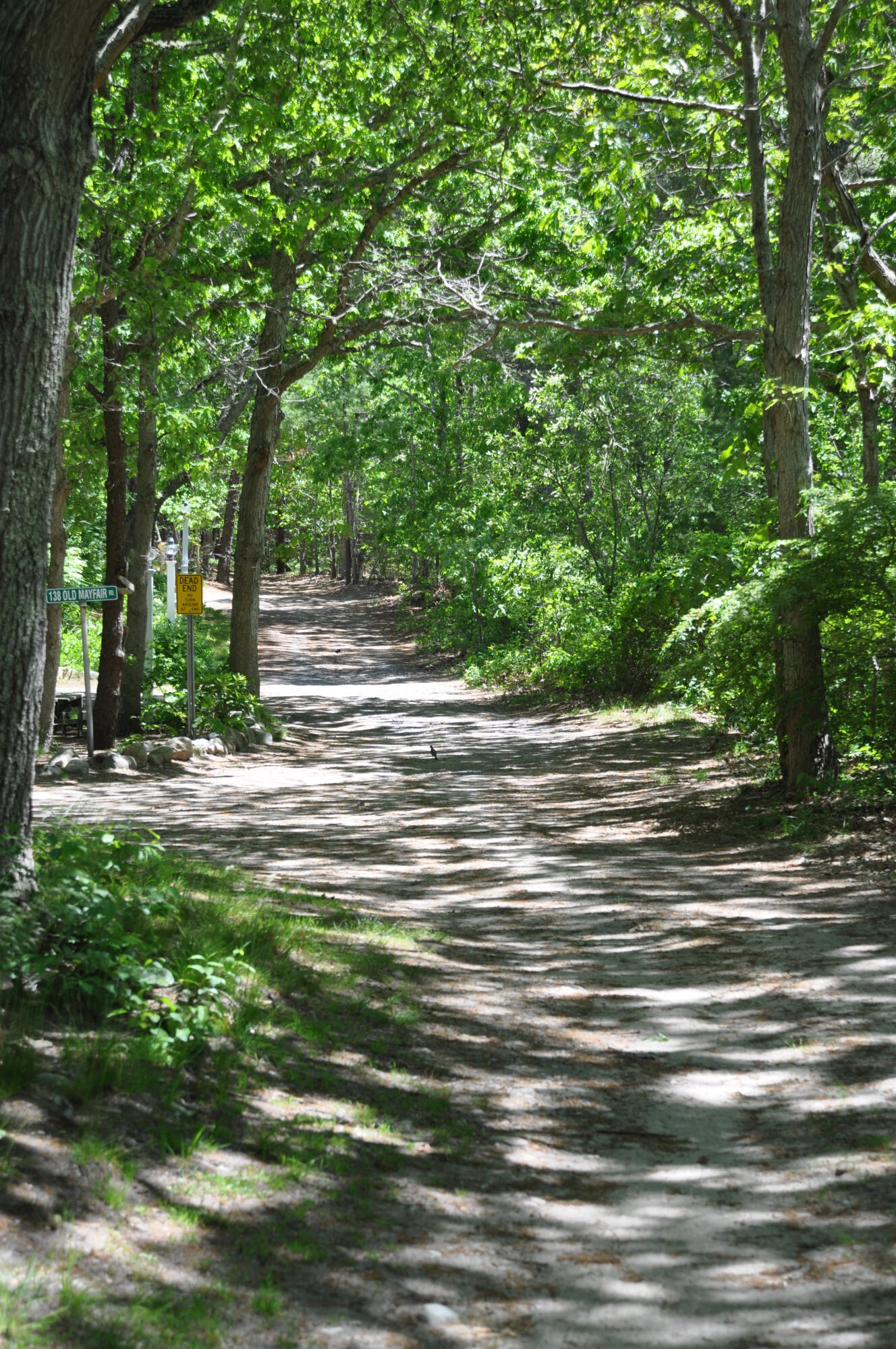 25 Fairmount Road South Dennis, MA 02660 - Photo 43 of 61 DSC_0872