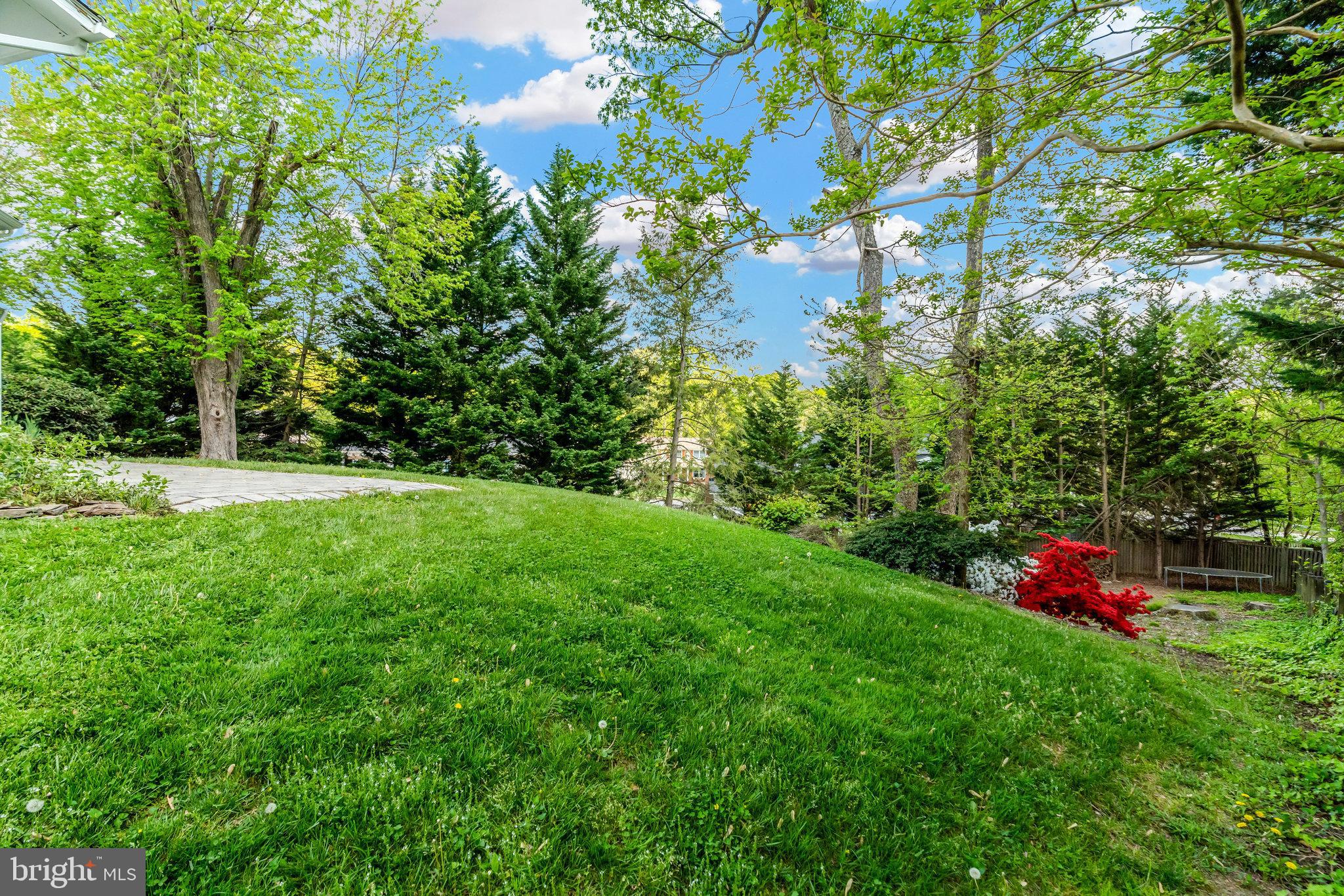9100 Rural Plains Place Springfield, VA 22153 - Photo 34 of 39
