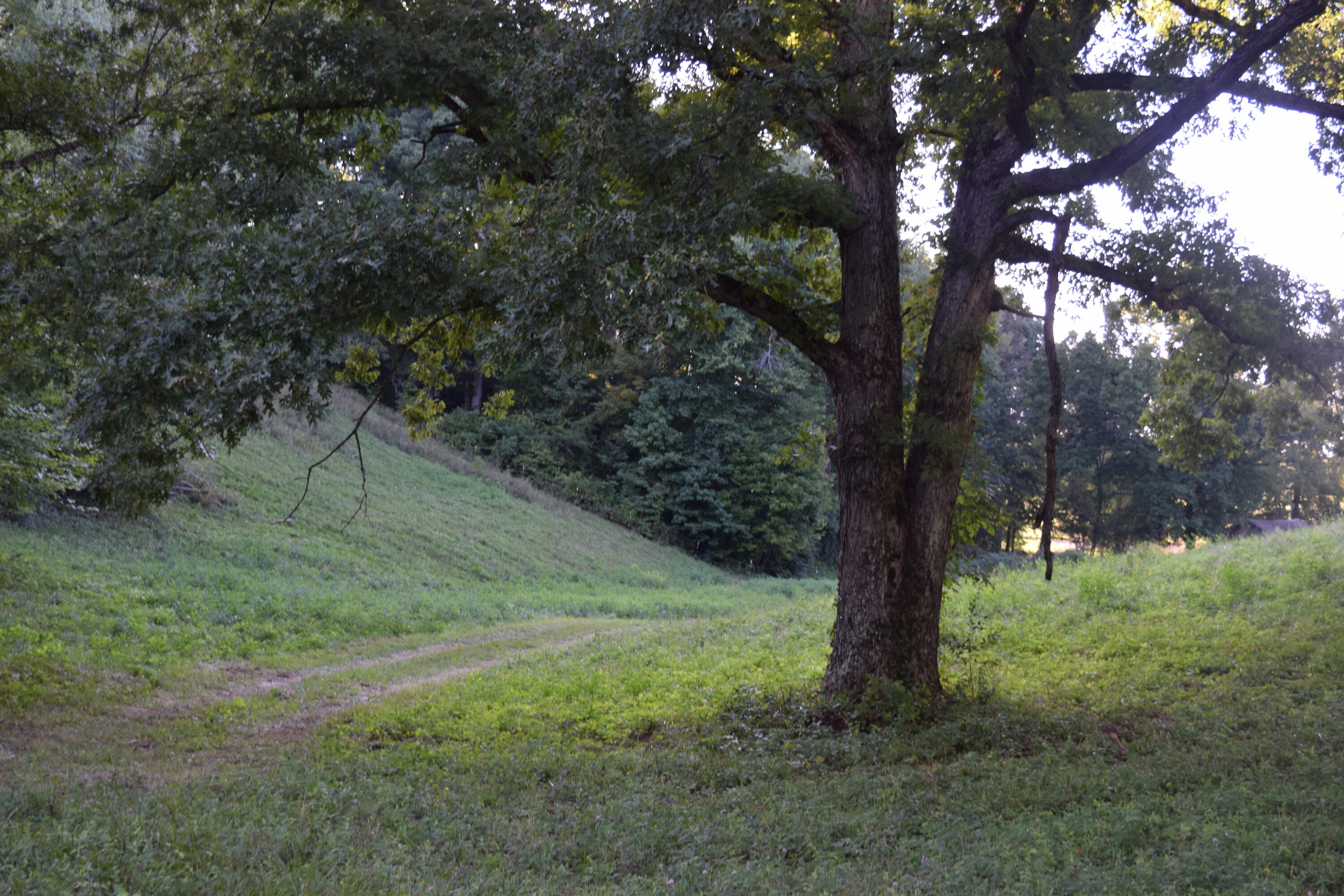 2091 Somerset Road London, KY 40741 - Photo 5 of 36 DSC_0002