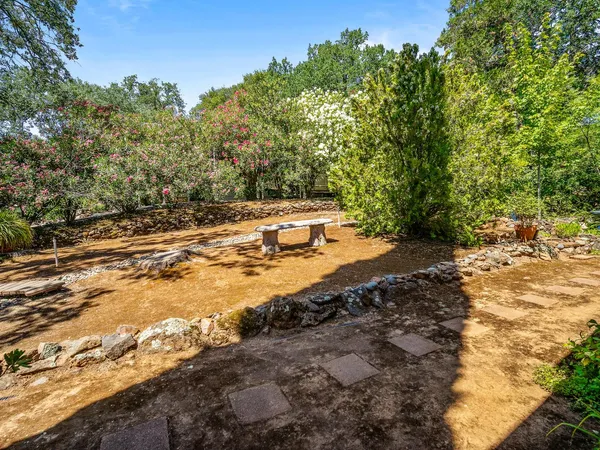 a view of a yard with plants and trees