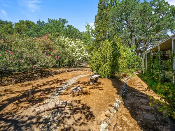 a view of a yard with plants and large trees