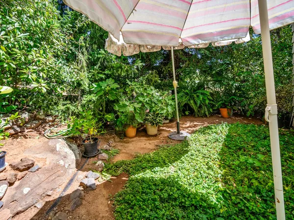 a view of a backyard with plants