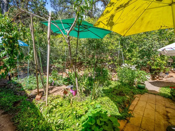 a view of an outdoor space and garden