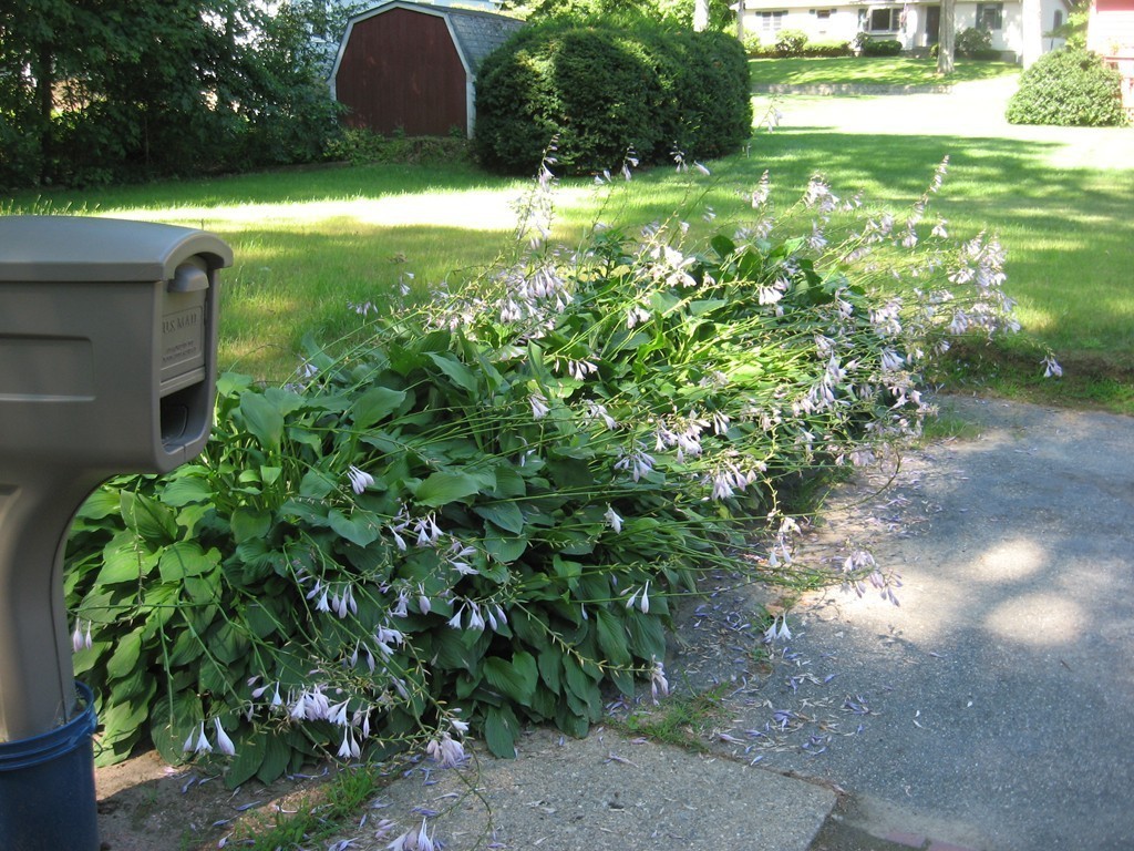 6 Upland Road Boylston, MA 01505 - Photo 20 of 28 Gallery Image 20