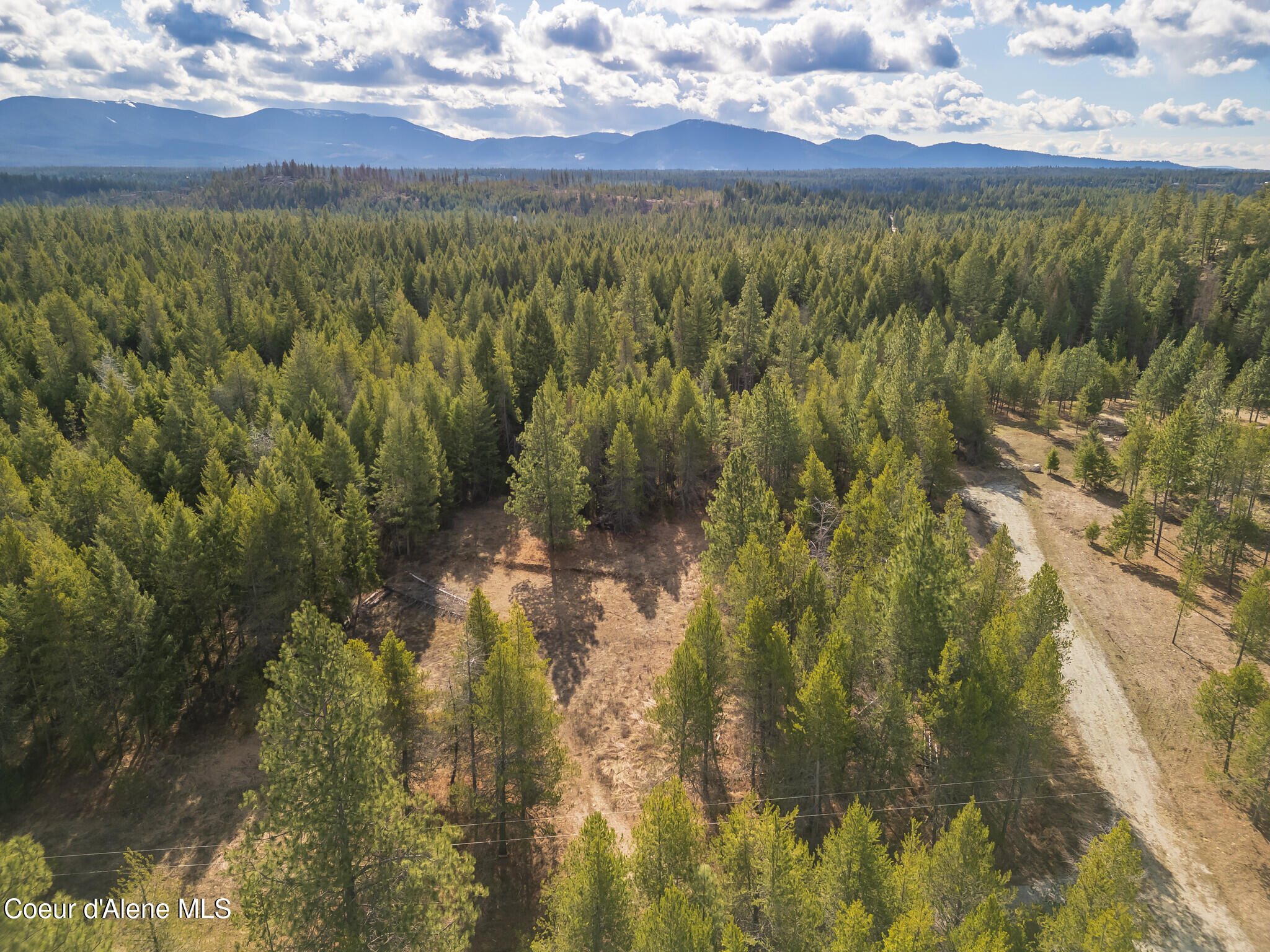 133 Pne Mdw Road Athol, ID 83801 - Photo 11 of 19 DJI_0388-HDR