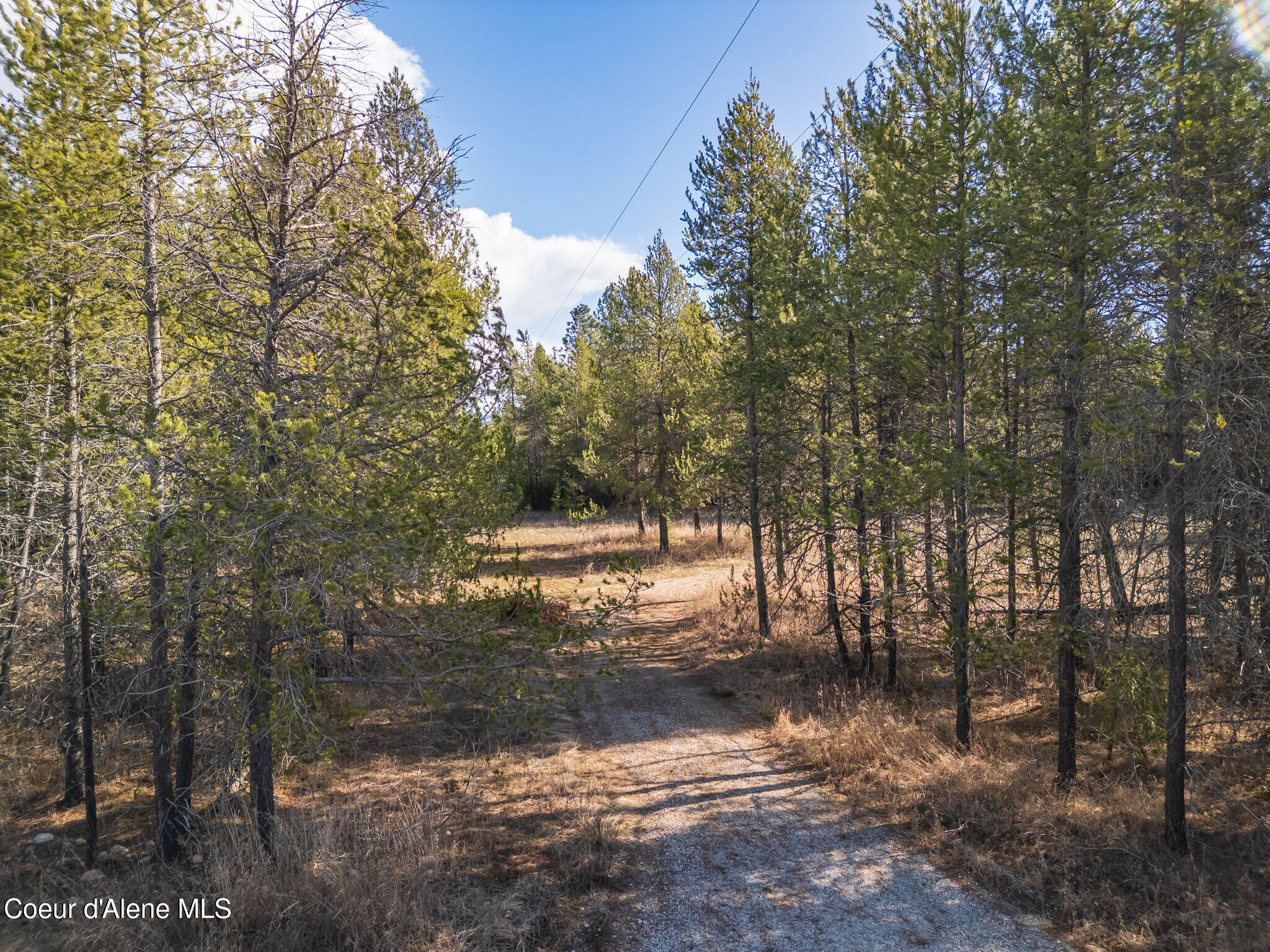 133 Pne Mdw Road Athol, ID 83801 - Photo 7 of 19 DJI_0298-HDR