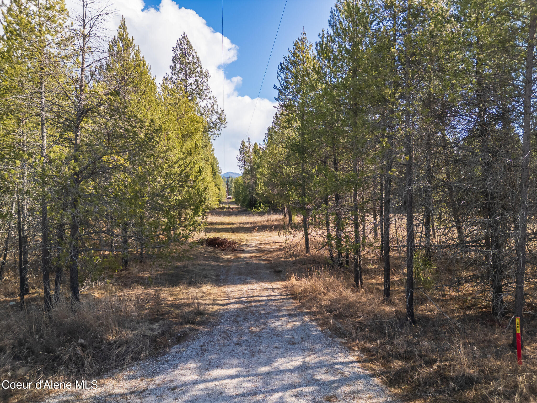 133 Pne Mdw Road Athol, ID 83801 - Photo 8 of 19 DJI_0308-HDR
