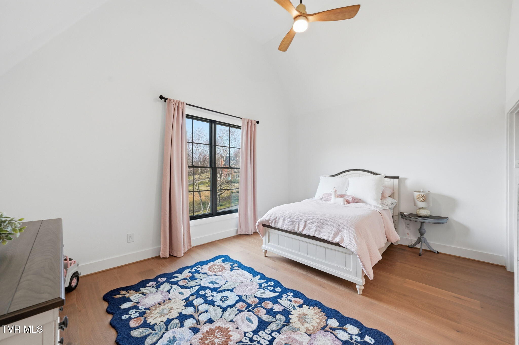 302 Huntington Way Johnson City, TN 37604 - Photo 75 of 90 57-web-or-mls-039_DSC05002