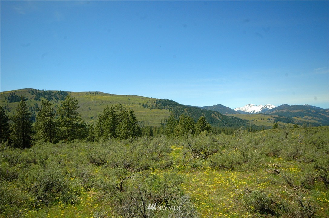 27 Palomino Road Winthrop, WA 98862 - Photo 1 of 25 Gallery Image 1