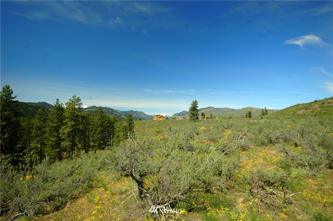 27 Palomino Road Winthrop, WA 98862 - Photo 2 of 25 Gallery Image 2