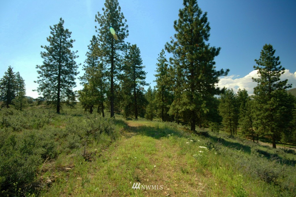 27 Palomino Road Winthrop, WA 98862 - Photo 14 of 25 Gallery Image 14
