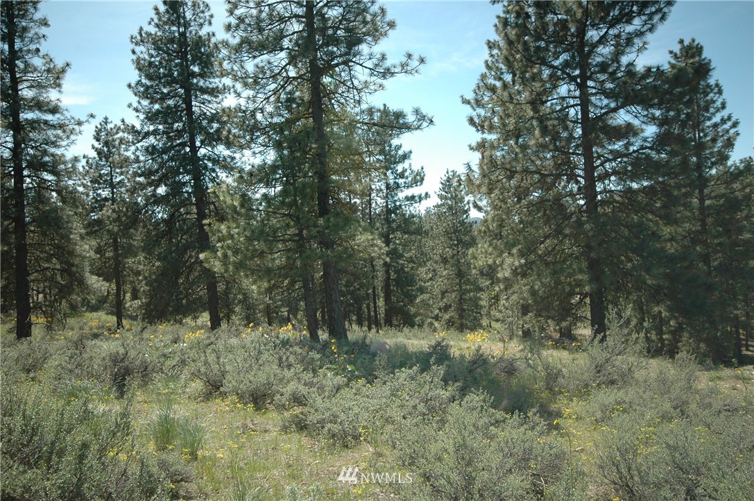 27 Palomino Road Winthrop, WA 98862 - Photo 17 of 25 Gallery Image 17