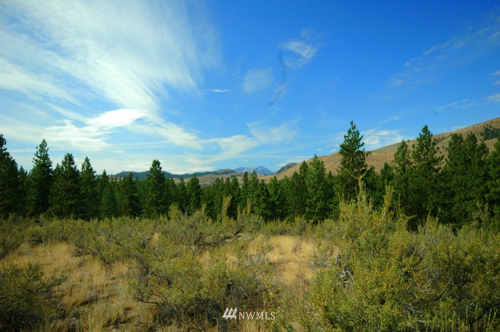 27 Palomino Road Winthrop, WA 98862 - Photo 18 of 25 Gallery Image 18