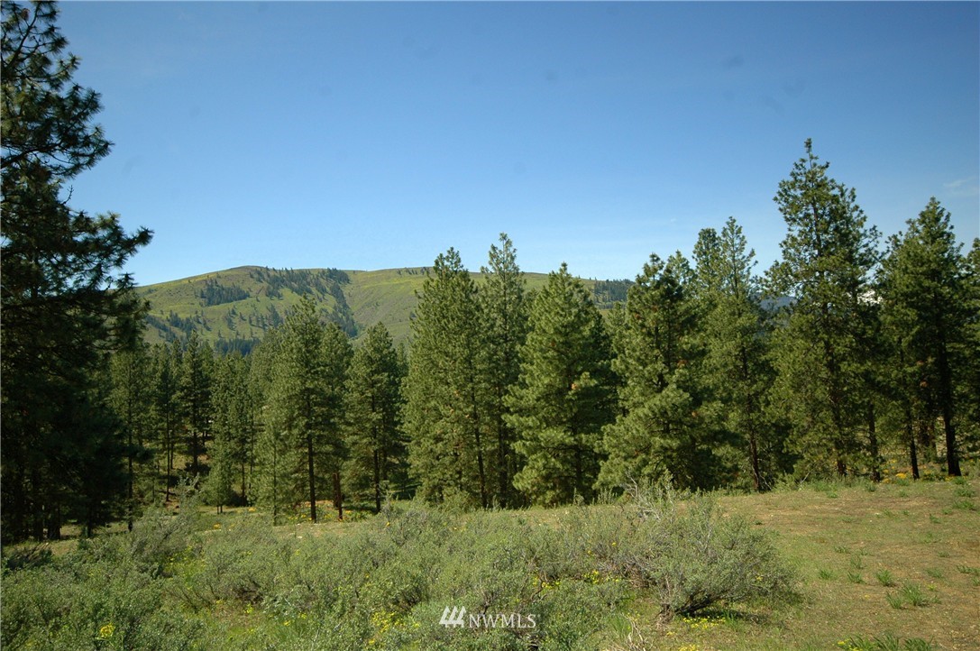 27 Palomino Road Winthrop, WA 98862 - Photo 19 of 25 Gallery Image 19