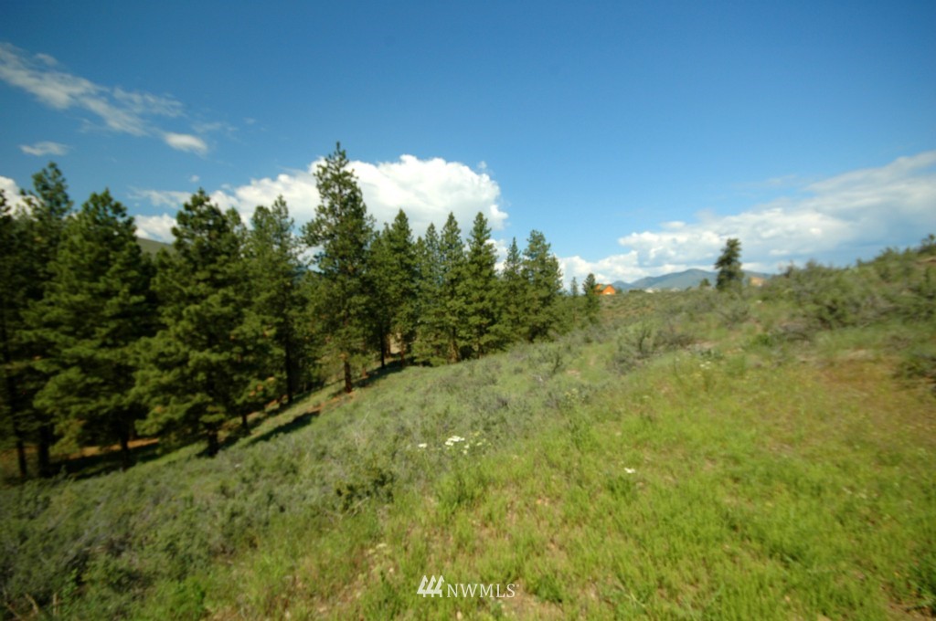 27 Palomino Road Winthrop, WA 98862 - Photo 23 of 25 Gallery Image 23