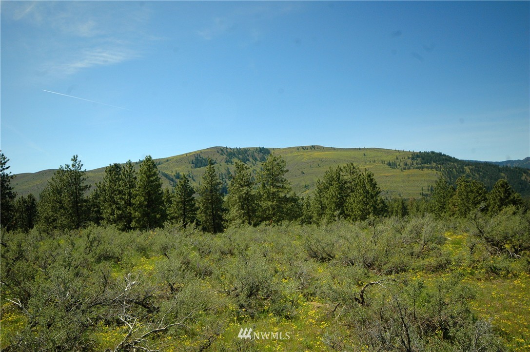 27 Palomino Road Winthrop, WA 98862 - Photo 25 of 25 Gallery Image 25