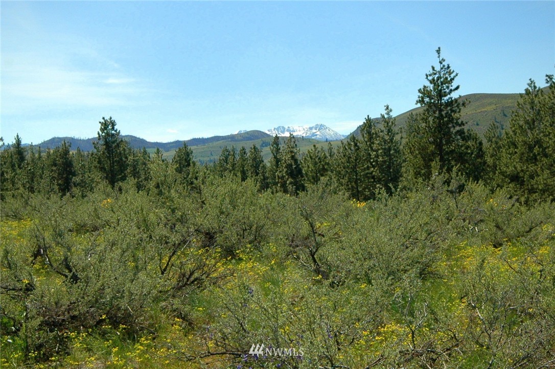27 Palomino Road Winthrop, WA 98862 - Photo 5 of 25 Gallery Image 5