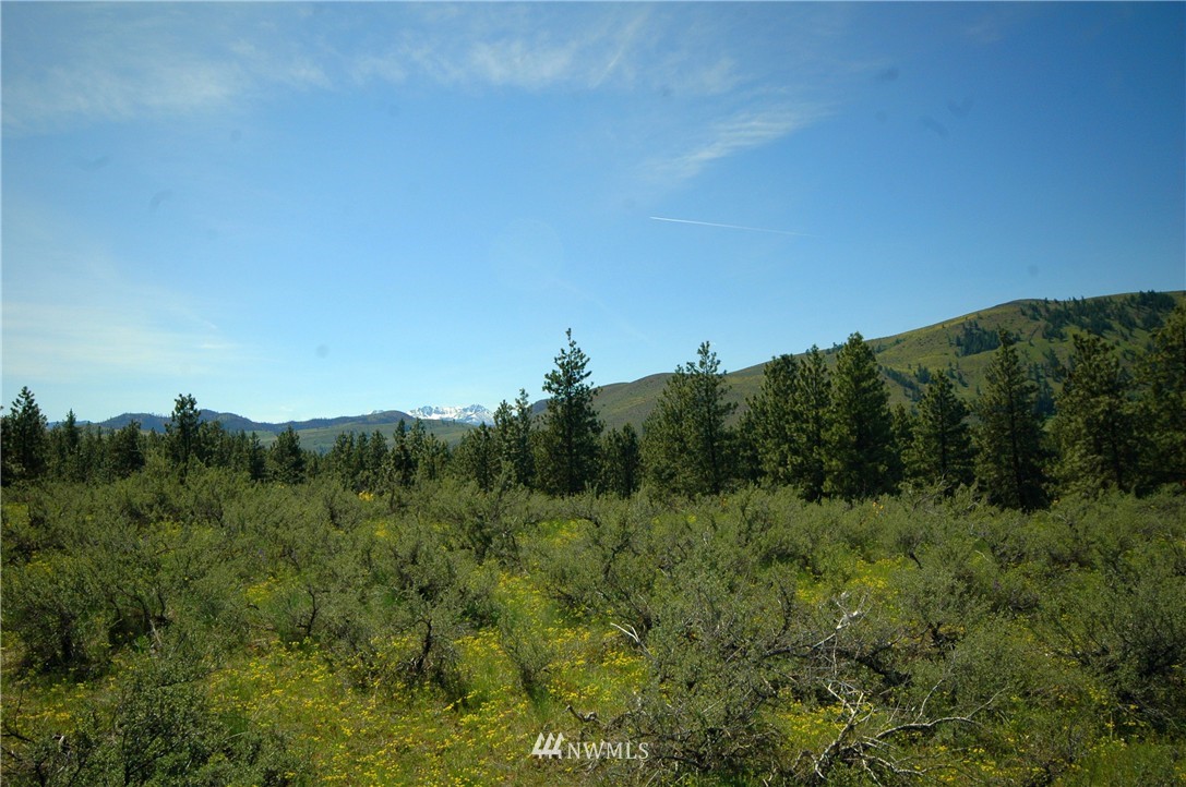 27 Palomino Road Winthrop, WA 98862 - Photo 10 of 25 Gallery Image 10