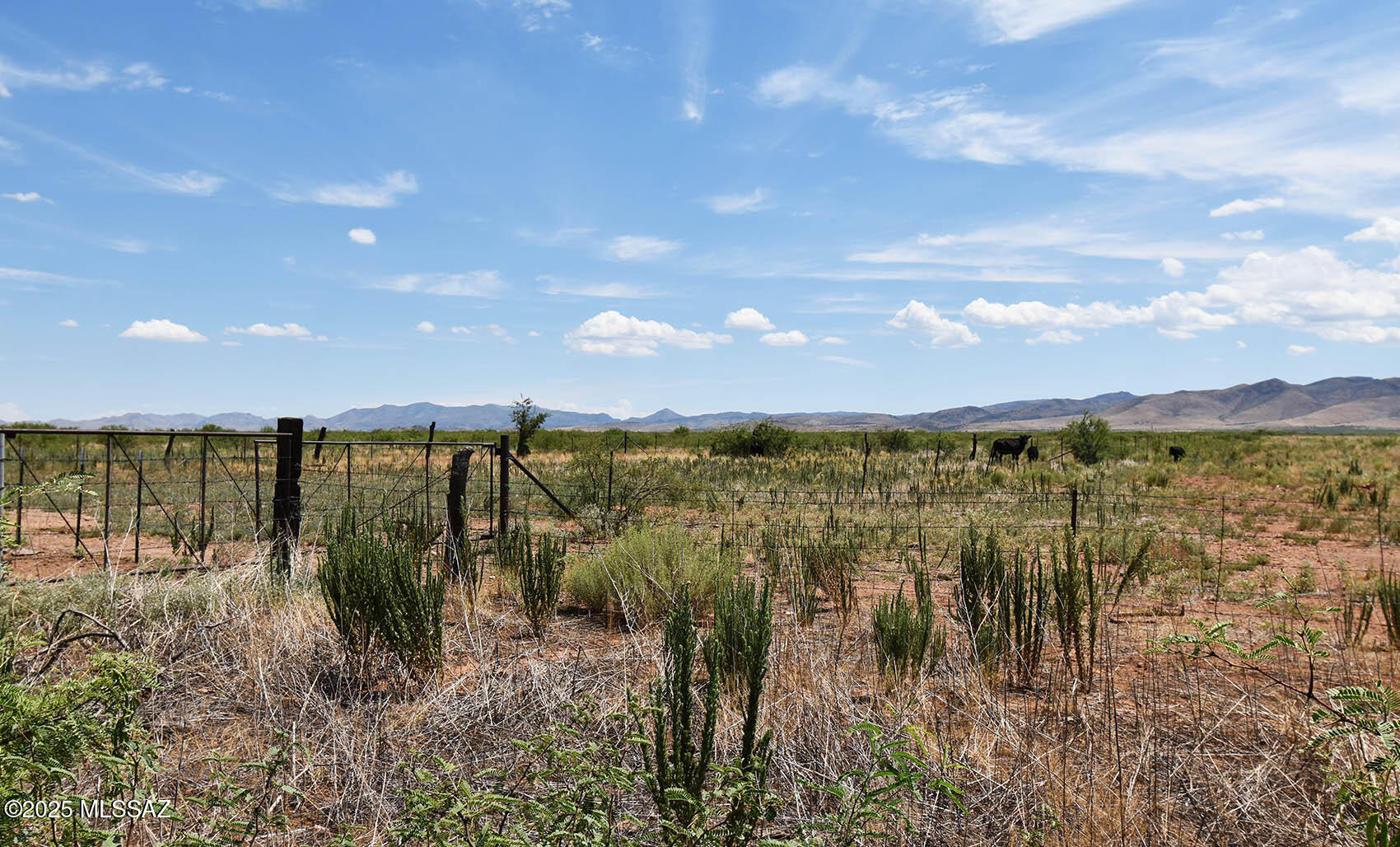 60-ac South Cross Creek Road, Unit 4 Pearce, AZ 85625 - Photo 36 of 39 Property corner NE