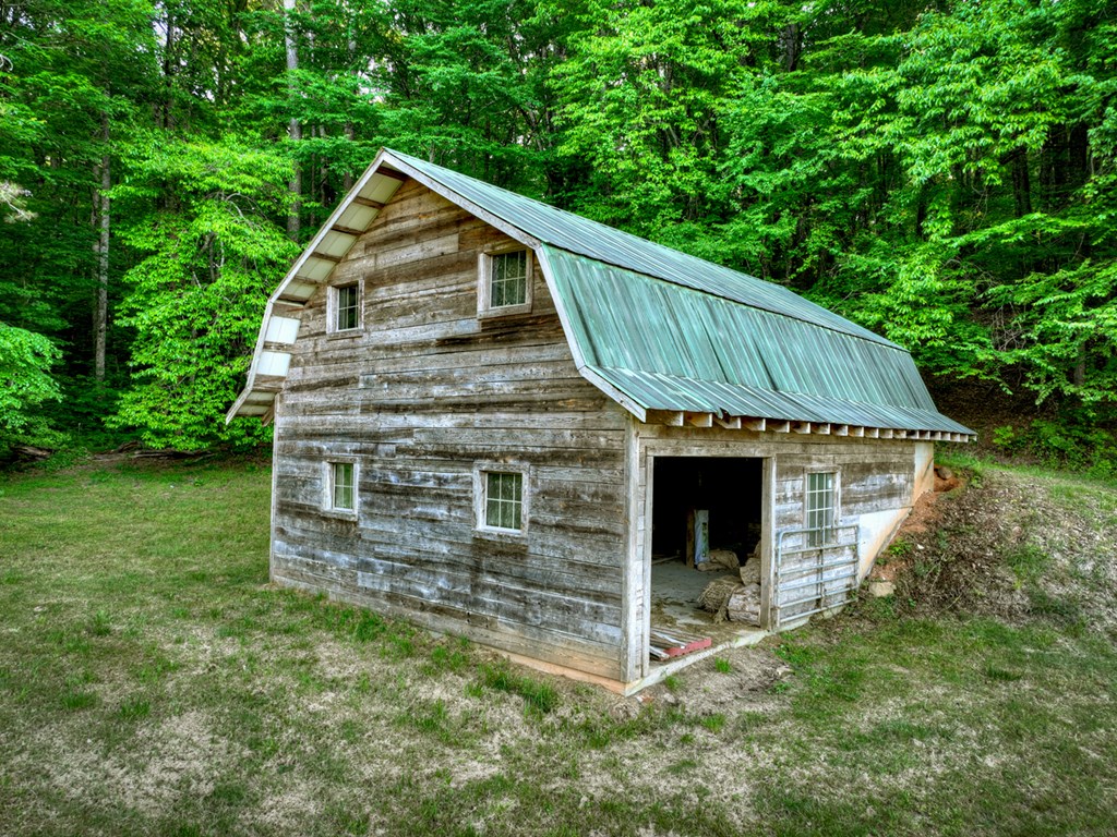 247 Craigtown Road Ellijay, GA 30540 - Photo 78 of 97