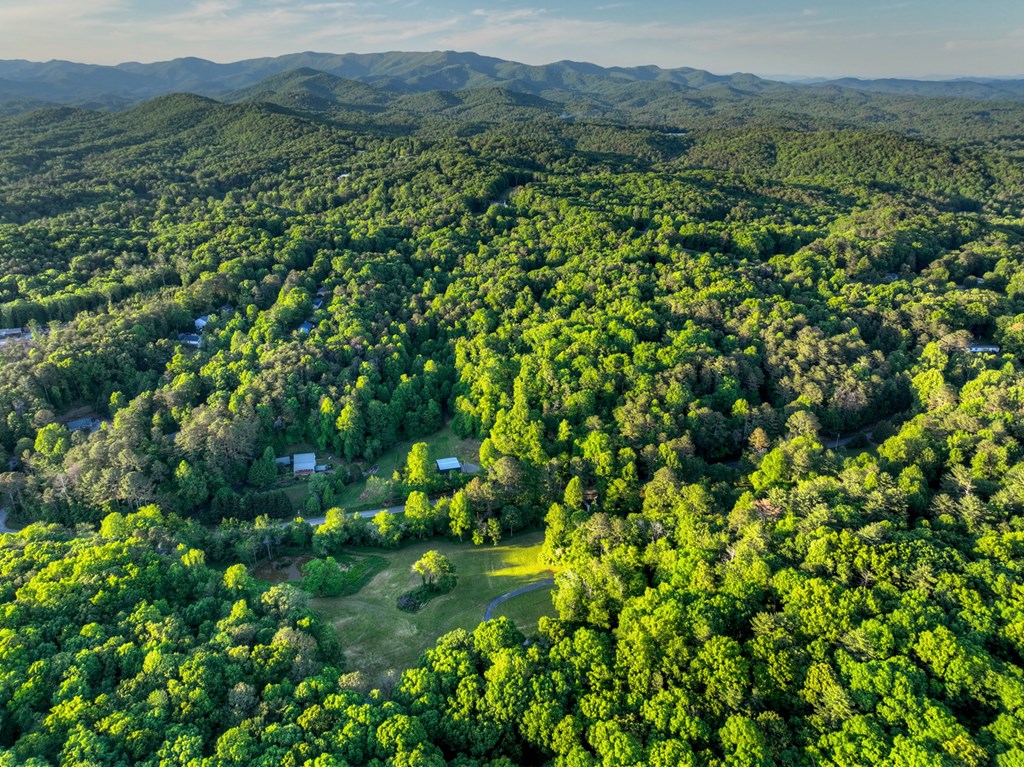 247 Craigtown Road Ellijay, GA 30540 - Photo 95 of 97