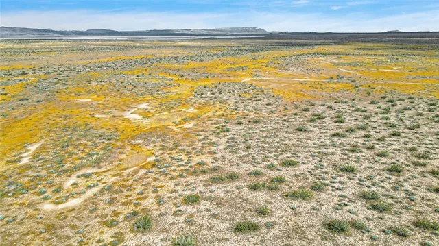 $29,900 | 49019133-3431 Powerline Road, Boron, CA 93516