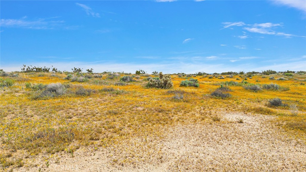 49019133-3431 Powerline Road Boron, CA 93516 - Photo 5 of 17 a view of an ocean