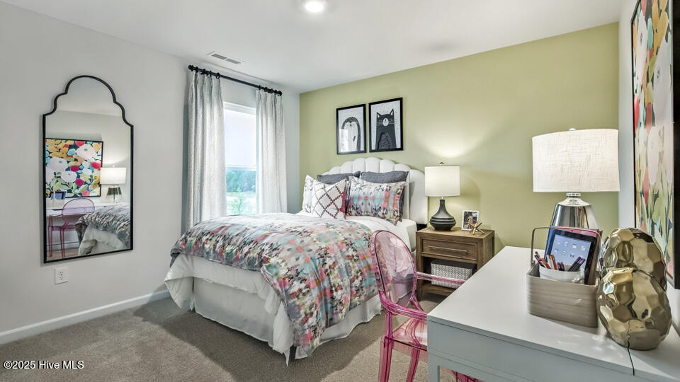 131 Rashford Way Raeford, NC 28376 - Photo 23 of 33 Bedroom