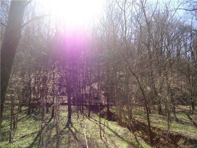 1 Bee Spring Road Dellrose, TN 38453 - Photo 3 of 7