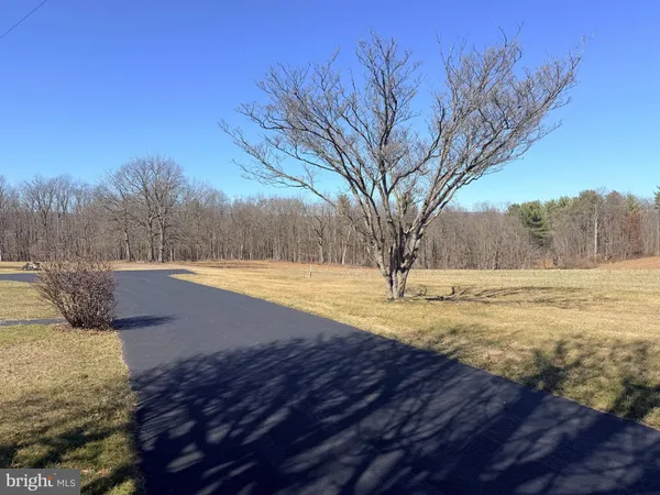 a view of yard with tree s