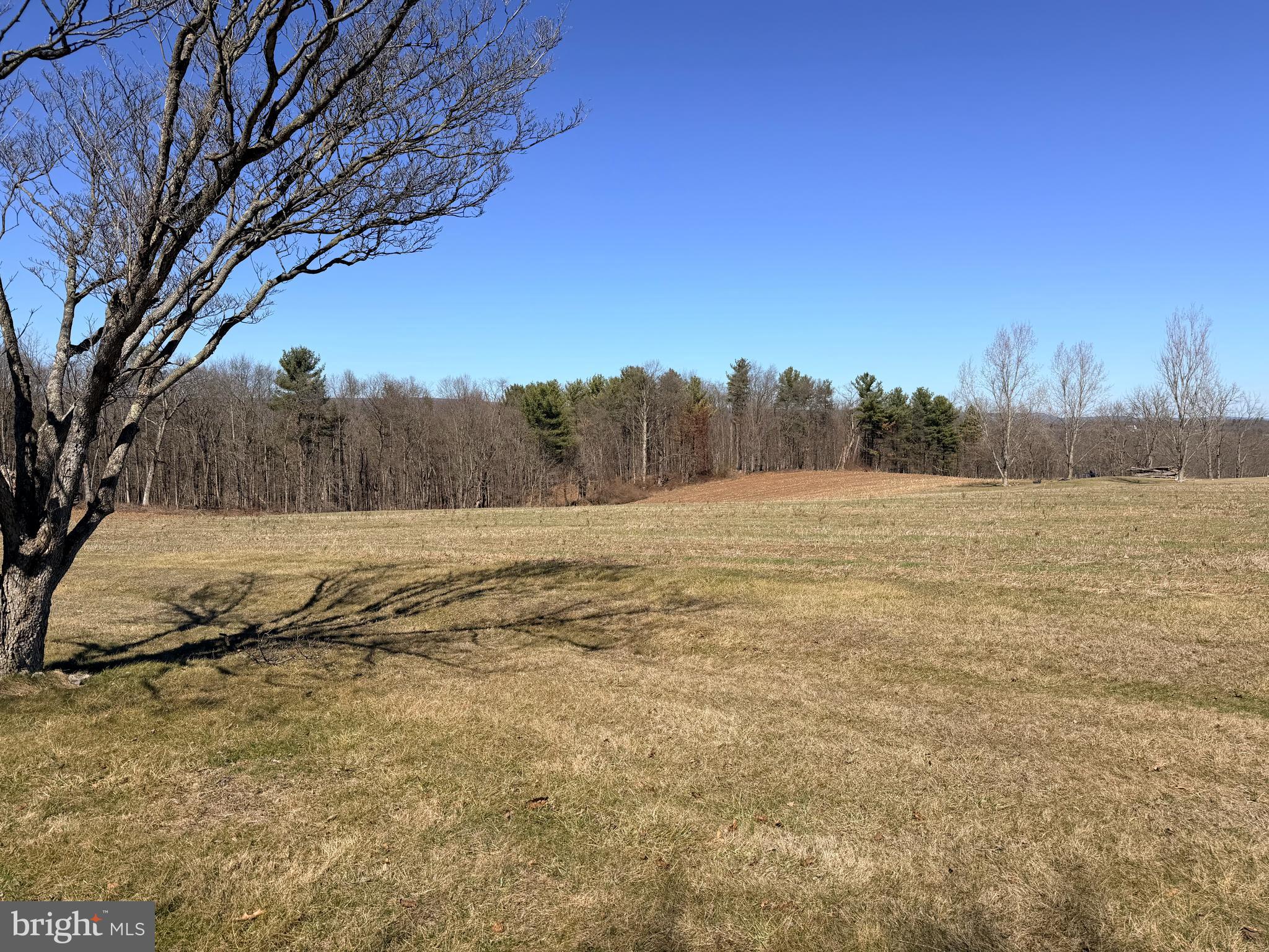 2716 South Madden Road Hustontown, PA 17229 - Photo 4 of 31 2.818 AC LOT - CROPS TO BE HARVESTED IN SUMMER