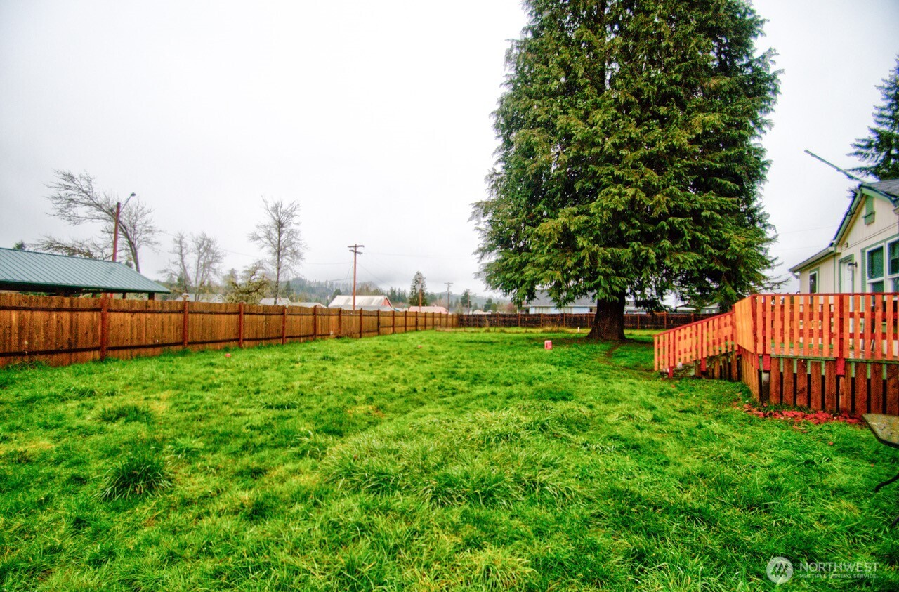 307 South 3rd Street Pe Ell, WA 98572 - Photo 26 of 29 a view of a yard with a large trees