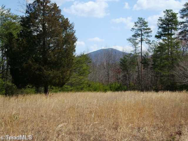 0 Gordon Road Pinnacle, NC 27043 - Photo 2 of 16 Land/Lot.