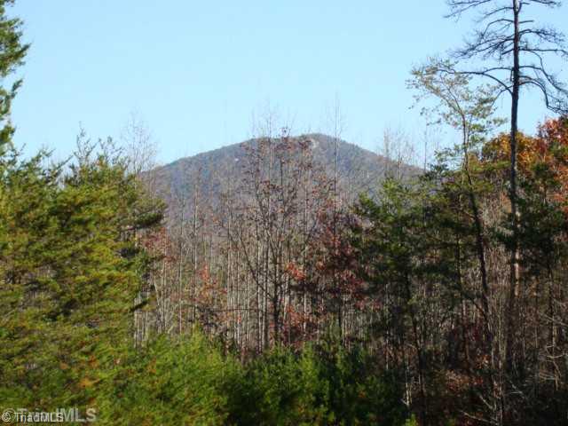 0 Gordon Road Pinnacle, NC 27043 - Photo 4 of 16 View.