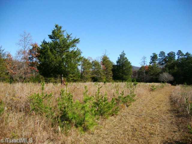 0 Gordon Road Pinnacle, NC 27043 - Photo 5 of 16 Land/Lot.