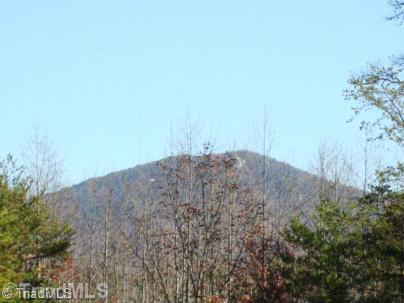 0 Gordon Road Pinnacle, NC 27043 - Photo 6 of 16 View.