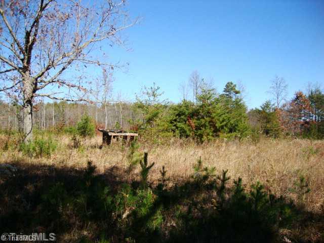 0 Gordon Road Pinnacle, NC 27043 - Photo 7 of 16 Land/Lot.